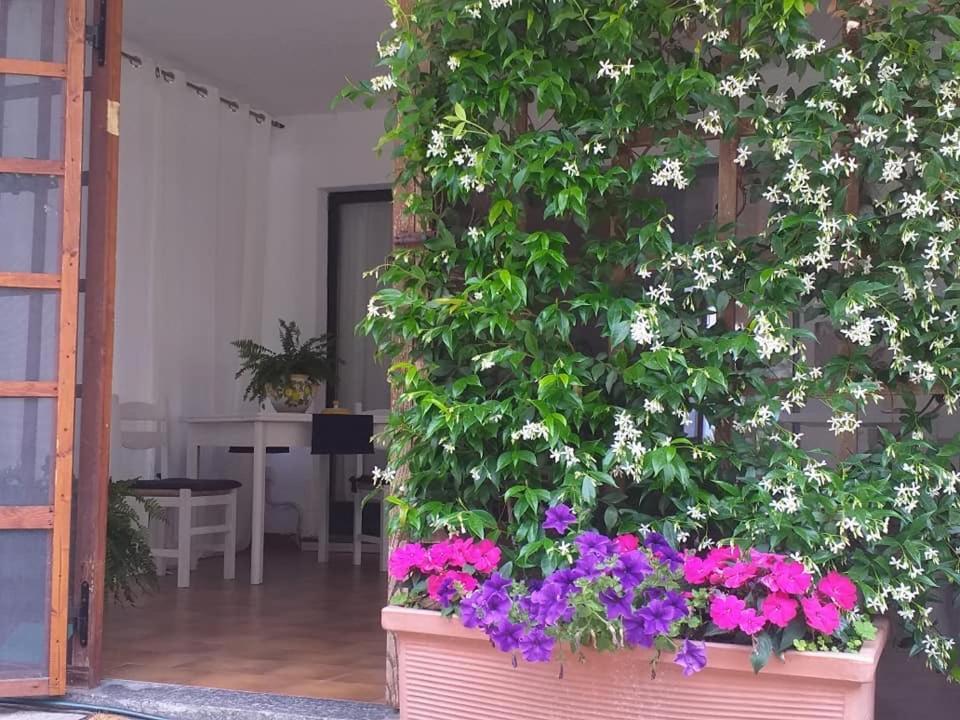Alla Ghigliotta Viverone Exteriör bild
